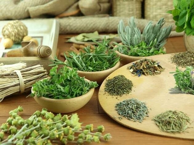 Phytotherapie für Potenz